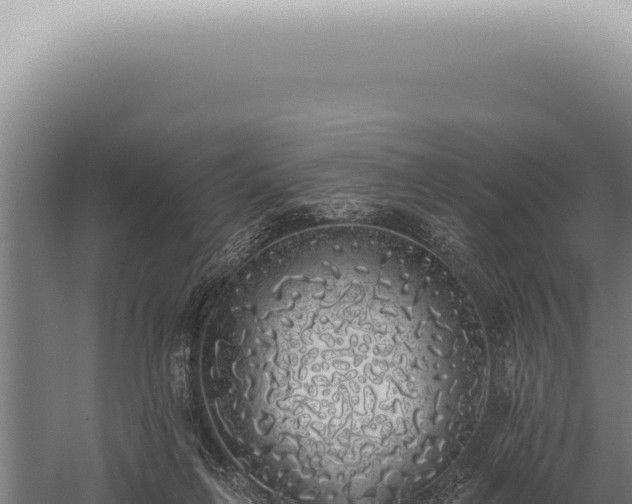 X0000059820263200510281739