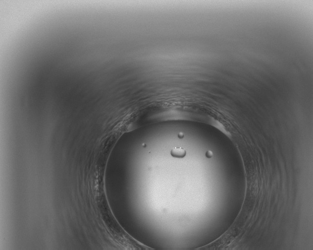 X0000059820268200510281739