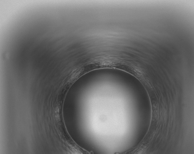 X0000059820269200510281739