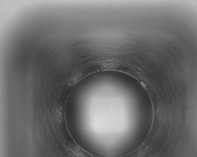 X0000059820271200510281739