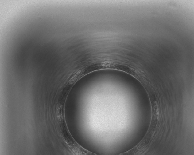 X0000059820272200510281739