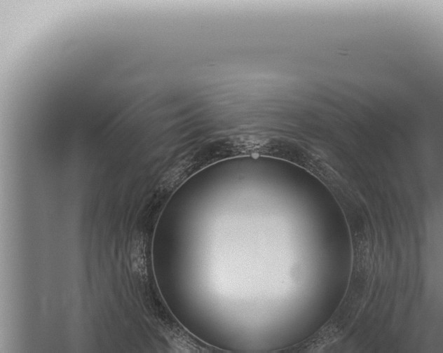 X0000059820274200510281739