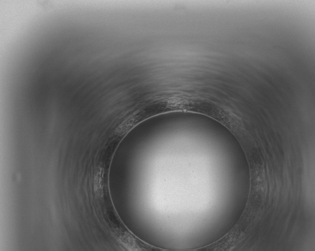 X0000059820275200510281739