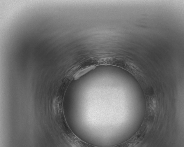 X0000059820276200510281739