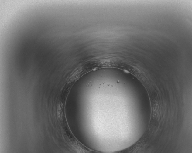 X0000059820278200510281739