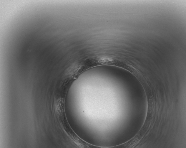 X0000059820280200510281739