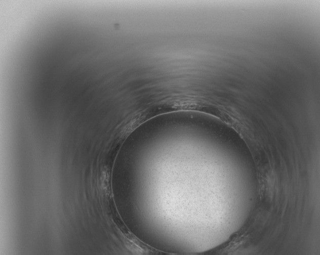 X0000059820281200510281739