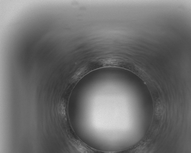 X0000059820282200510281739