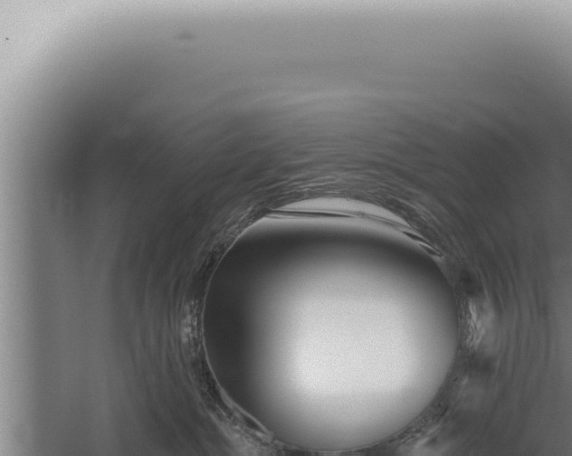 X0000059820284200510281739