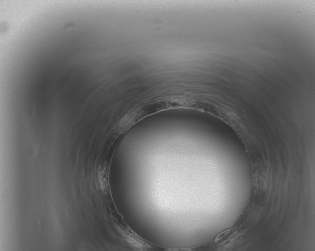 X0000059820285200510281739