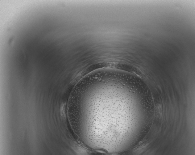 X0000059820286200510281739