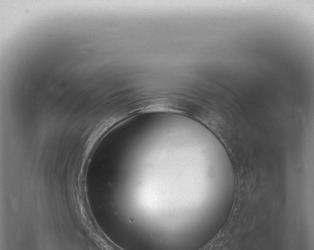 X0000059820289200510281739