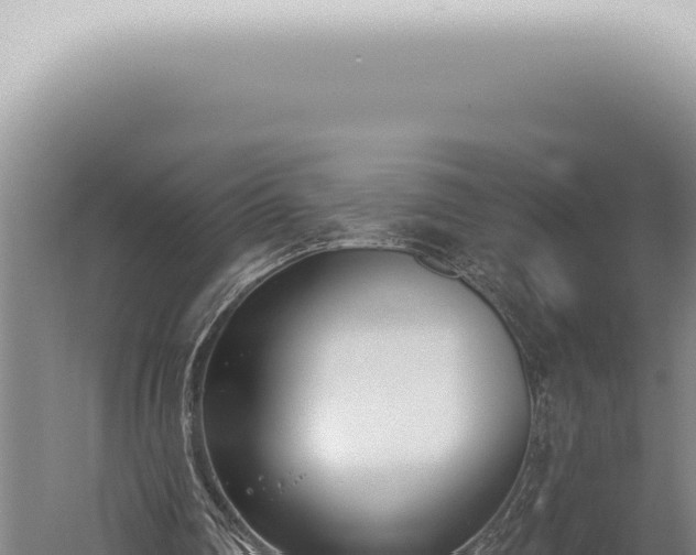 X0000059820290200510281739