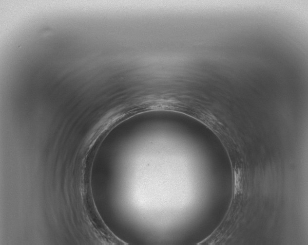 X0000059820291200510281739