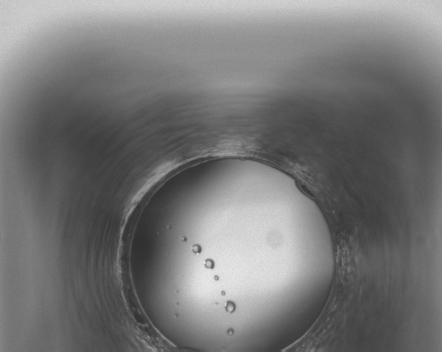 X0000059820292200510281739