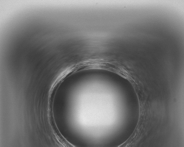 X0000059820293200510281739