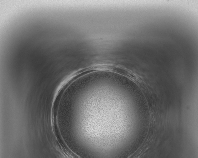 X0000059820294200510281739