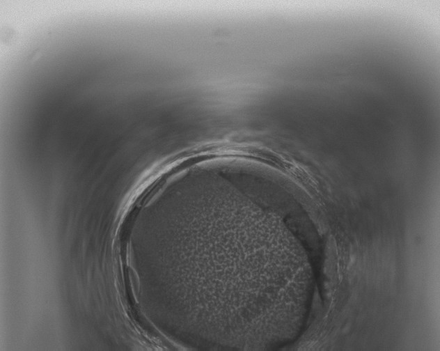 X0000059820295200510281739