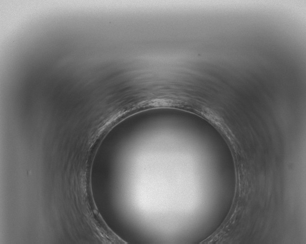 X0000059820297200510281739