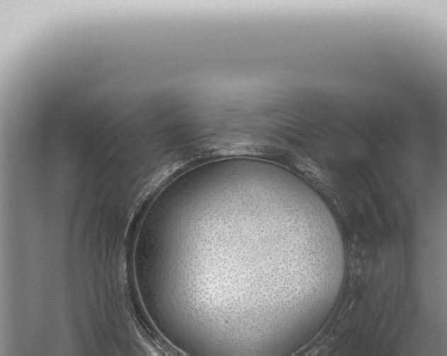 X0000059820298200510281739