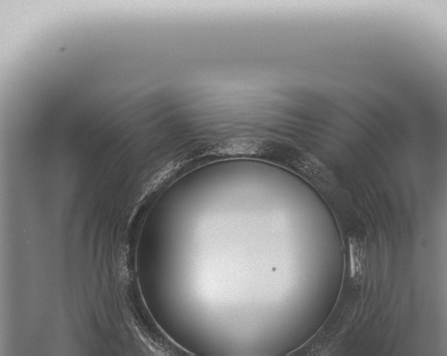 X0000059820300200510281739