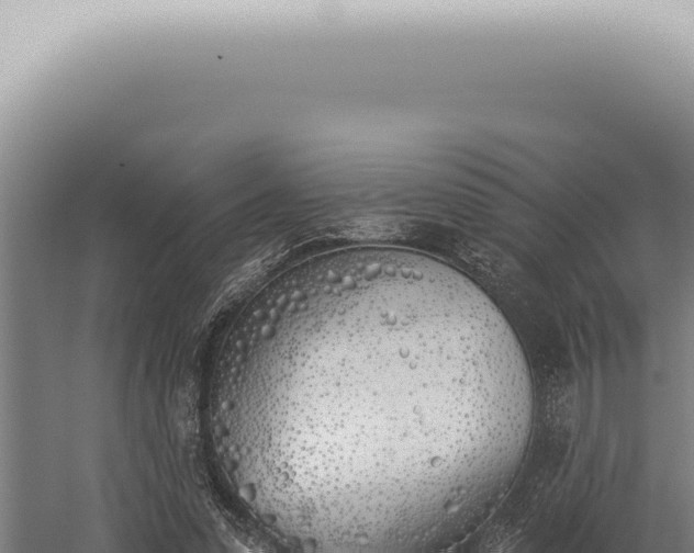 X0000059820303200510281738