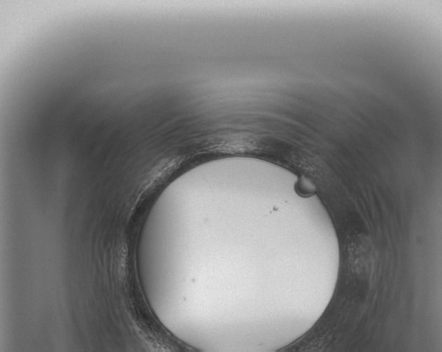 X0000059820304200510281738