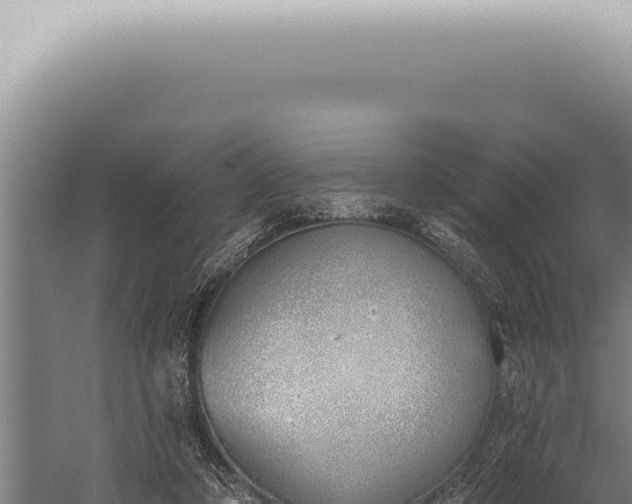 X0000059820306200510281738