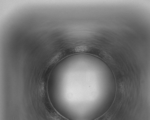 X0000059820308200510281738