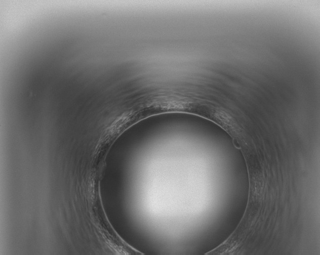 X0000059820309200510281738