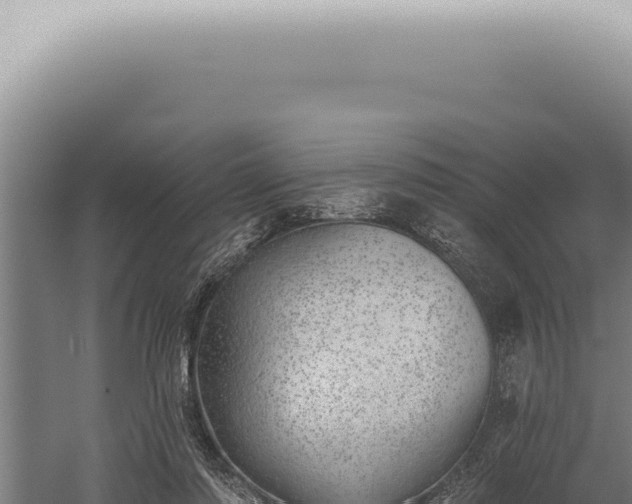 X0000059820310200510281738