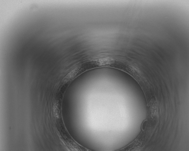 X0000059820316200510281738