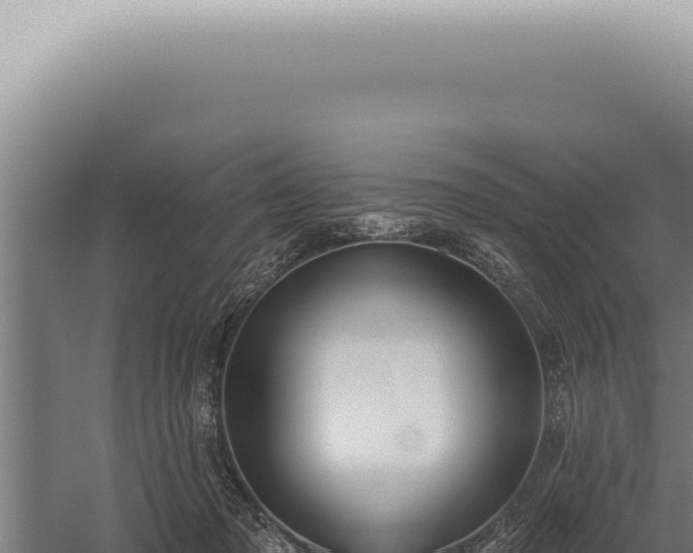 X0000059820317200510281738