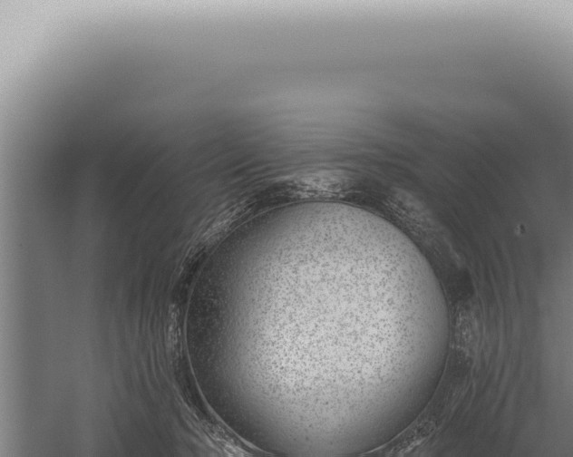 X0000059820318200510281738