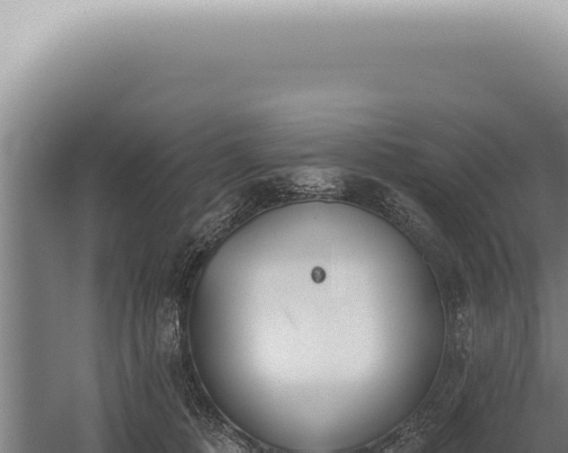 X0000059820320200510281738