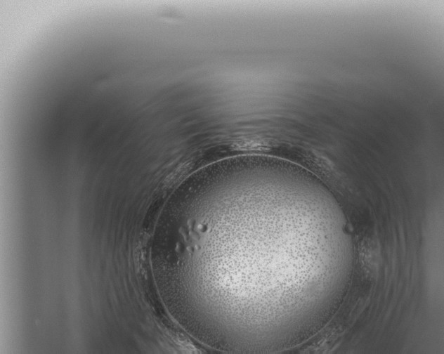 X0000059820322200510281738