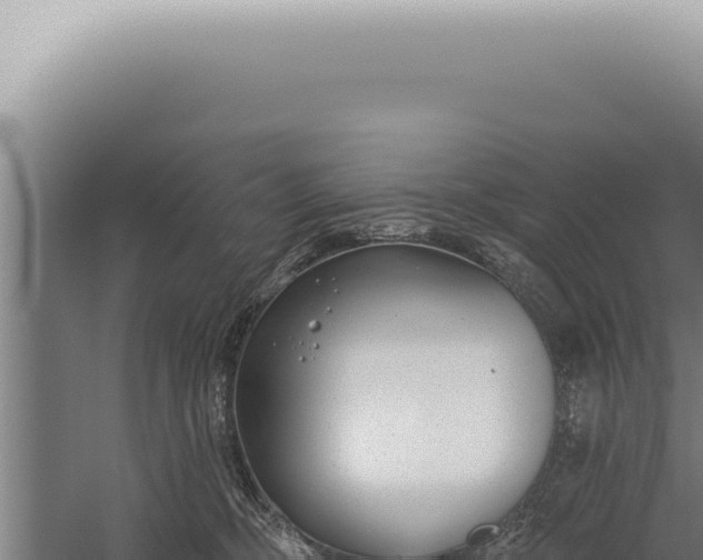 X0000059820326200510281738