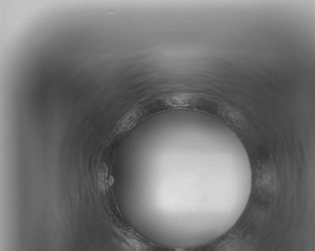 X0000059820332200510281738