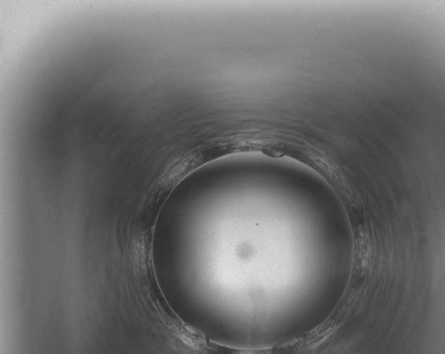 X0000059820333200510281738