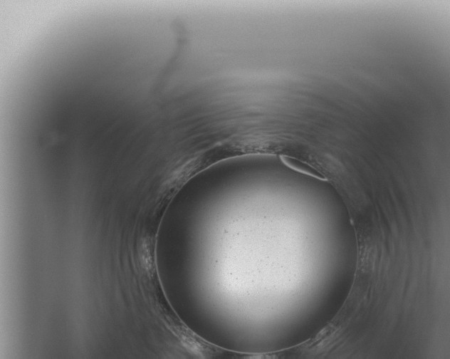 X0000059820335200510281738