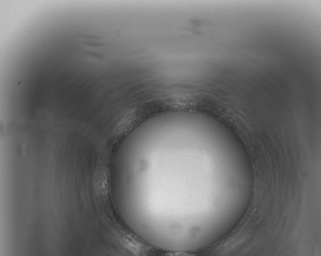 X0000059820336200510281738