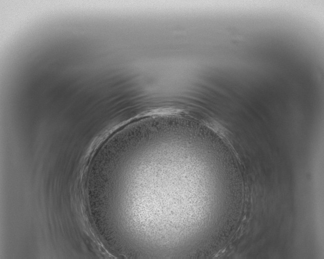 X0000059820337200510281737