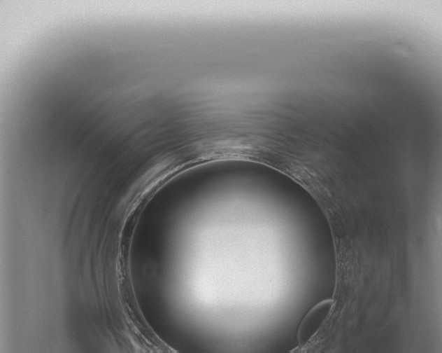 X0000059820338200510281737