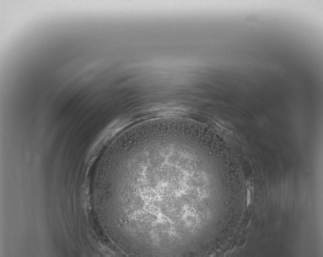 X0000059820339200510281737