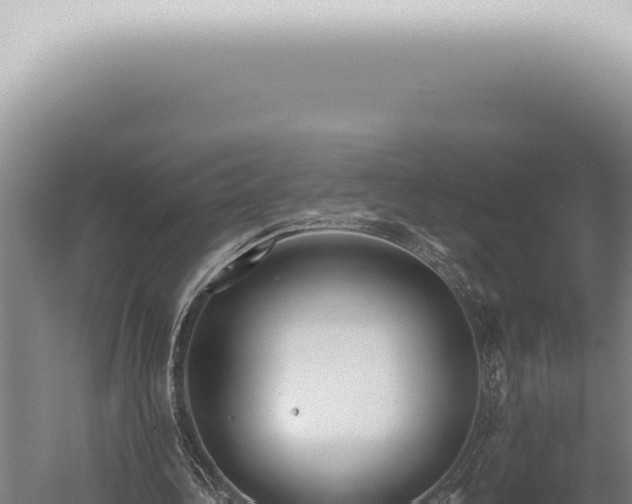 X0000059820340200510281737