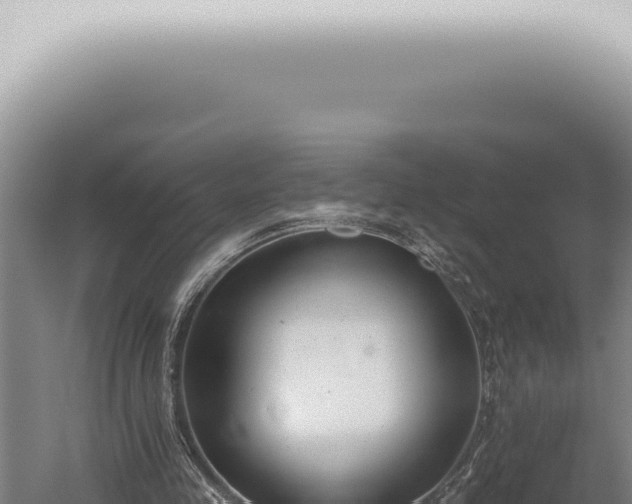 X0000059820341200510281737