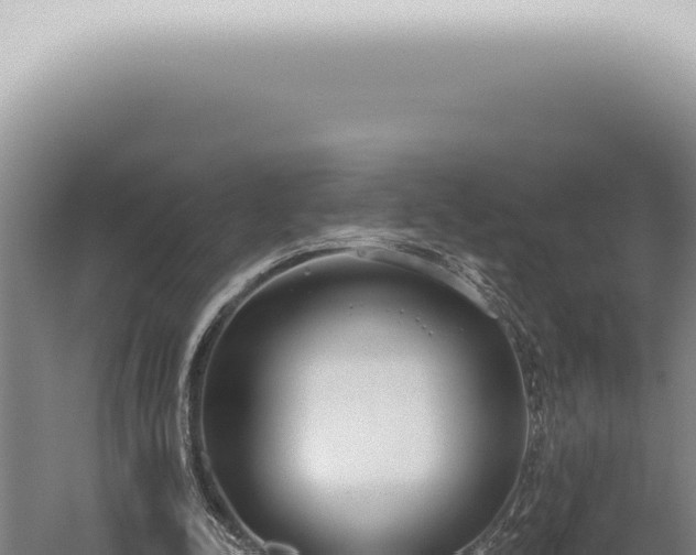 X0000059820342200510281737