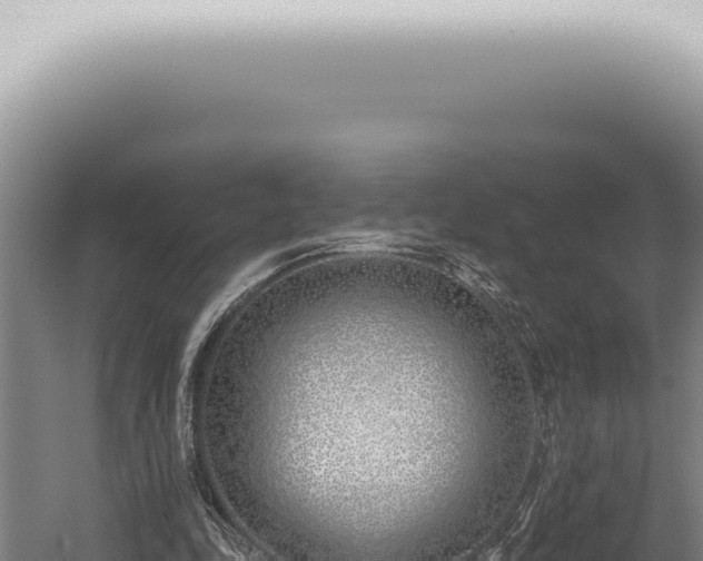 X0000059820343200510281737