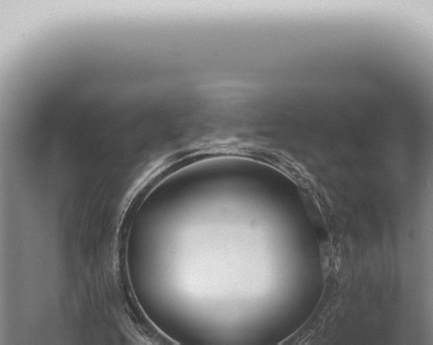 X0000059820344200510281737