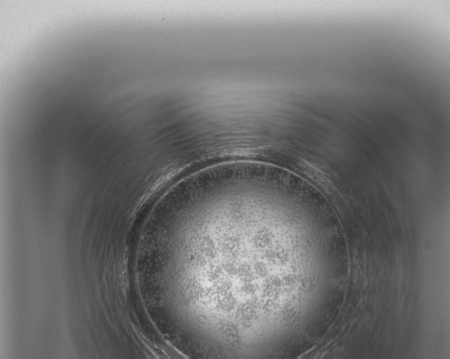 X0000059820346200510281737